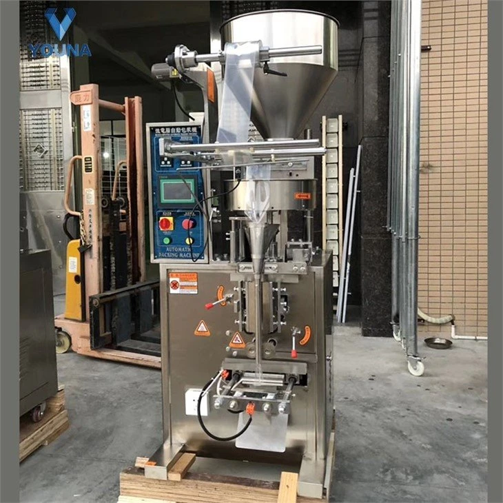 automatic salt packing machine (2)